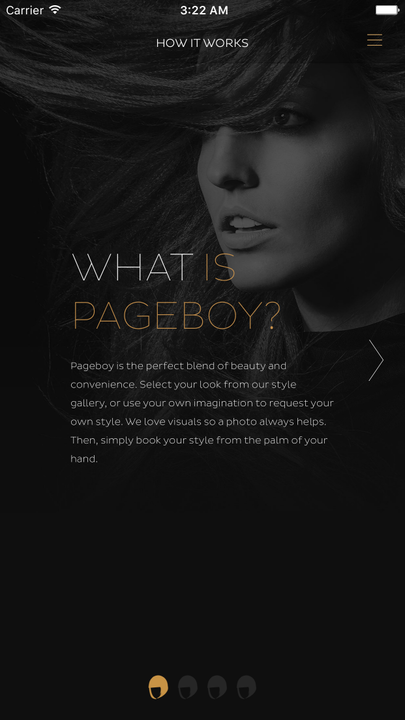 Pageboy User